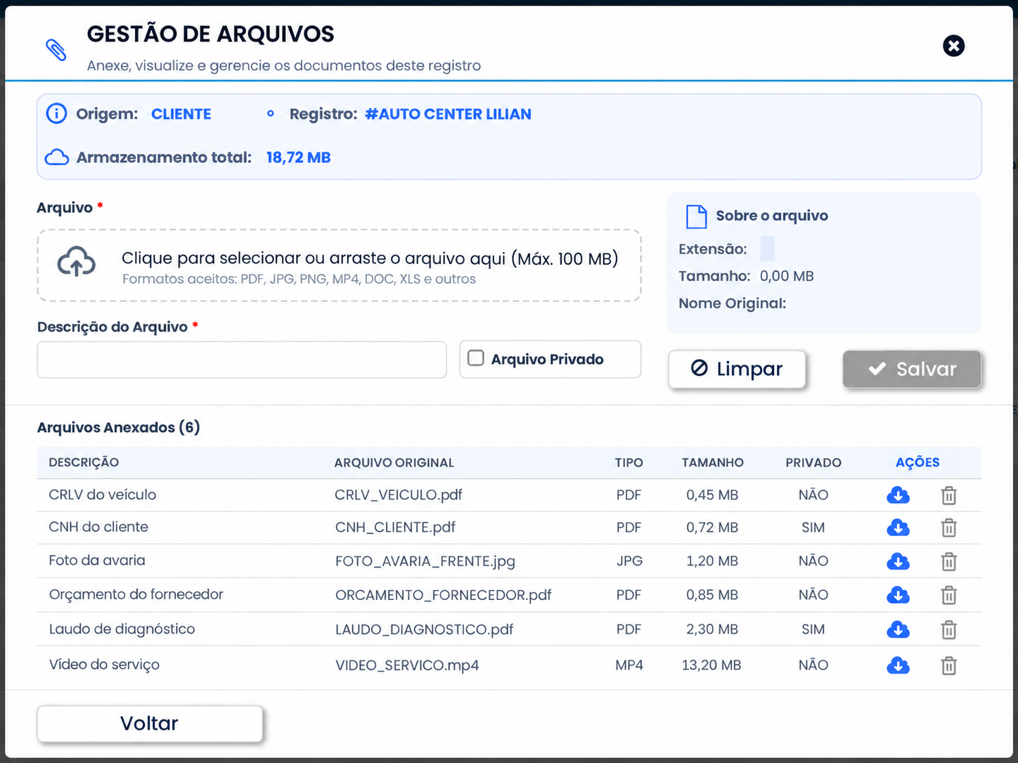 Tela de Gestão de Arquivos do IASIS com documentos anexados a um registro